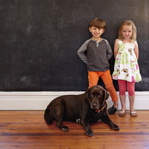 If I want waterproof flooring or hardwood, what can be done to make the floors quieter?